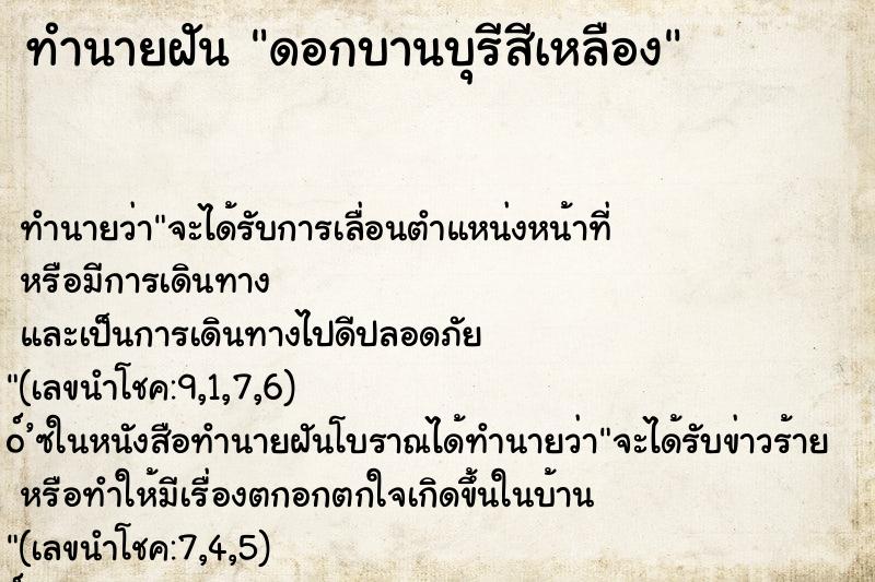 ทำนายฝัน ดอกบานบุรีสีเหลือง ทำนายฝัน ดอกบานบุรีสีเหลือง