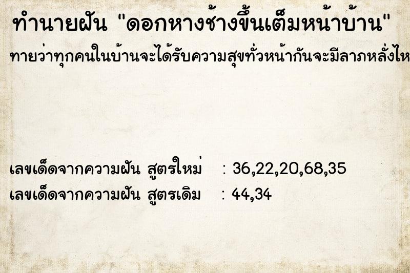 ทำนายฝันดอกหางช้างขึ้นเต็มหน้าบ้าน ทำนายฝันทำนายฝันดอกหางช้างขึ้นเต็มหน้าบ้าน