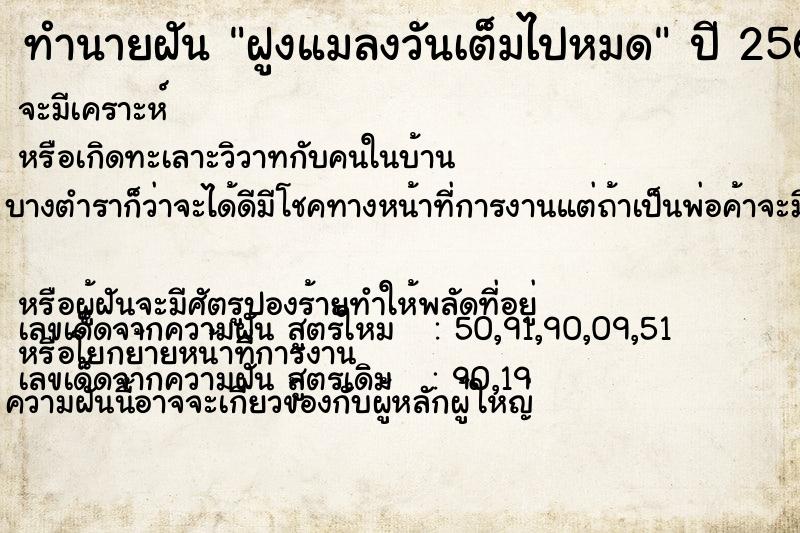 ทำนายฝันทำนายฝันฝูงแมลงวันเต็มไปหมด