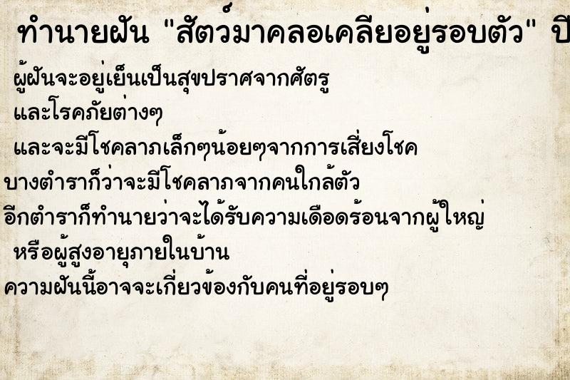 ทำนายฝัน สัตว์มาคลอเคลียอยู่รอบตัว