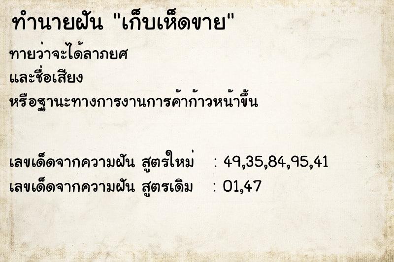 ทำนายฝันเก็บเห็ดขาย ทำนายฝันทำนายฝันเก็บเห็ดขาย