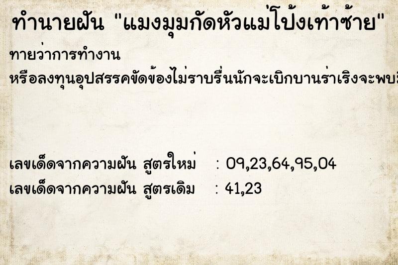 ทำนายฝันทำนายฝันแมงมุมกัดหัวแม่โป้งเท้าซ้าย