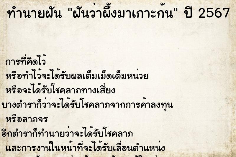 ทำนายฝันทำนายฝันฝันว่าผึ้งมาเกาะก้น