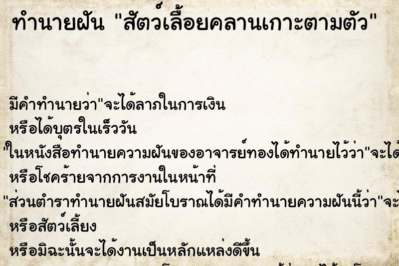 ทำนายฝันทำนายฝันสัตว์เลื้อยคลานเกาะตามตัว