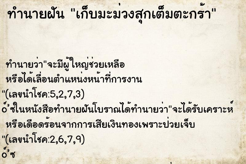 ทำนายฝัน เก็บมะม่วงสุกเต็มตะกร้า ทำนายฝัน เก็บมะม่วงสุกเต็มตะกร้า