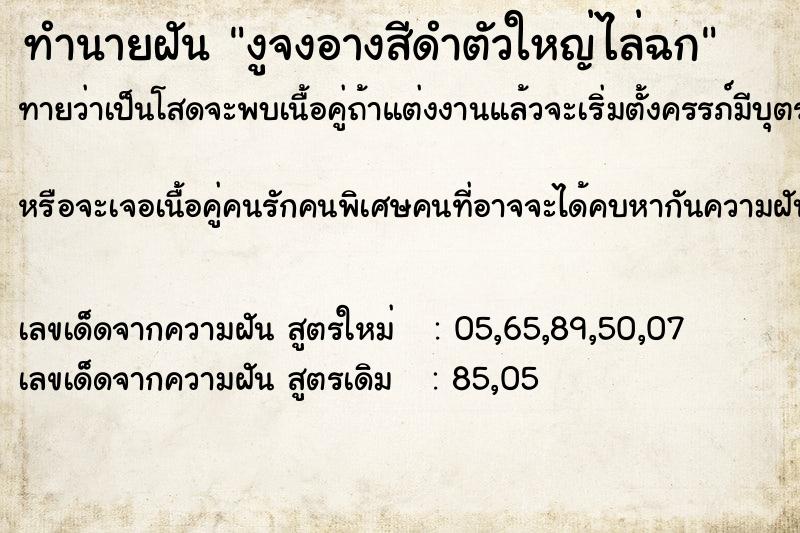 ทำนายฝันทำนายฝันงูจงอางสีดำตัวใหญ่ไล่ฉก