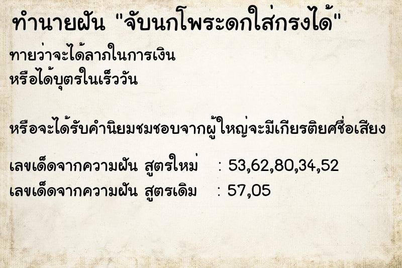 ทำนายฝันจับนกโพระดกใส่กรงได้ ทำนายฝันทำนายฝันจับนกโพระดกใส่กรงได้