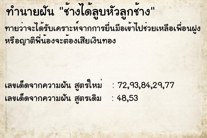 ทำนายฝันช้างได้ลูบหัวลูกช้าง ทำนายฝันทำนายฝันช้างได้ลูบหัวลูกช้าง