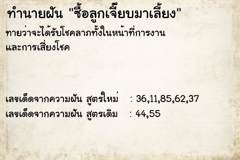 ทำนายฝันซื้อลูกเจี๊ยบมาเลี้ยง ทำนายฝันทำนายฝันซื้อลูกเจี๊ยบมาเลี้ยง