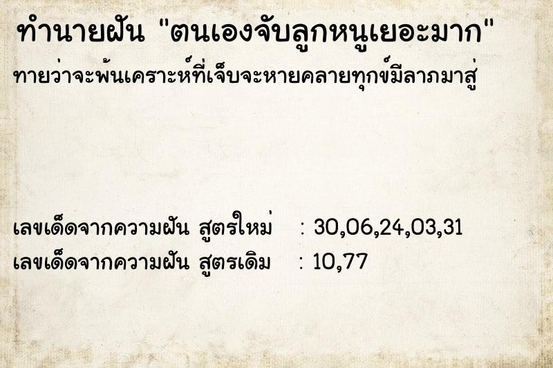 ทำนายฝันทำนายฝันตนเองจับลูกหนูเยอะมาก