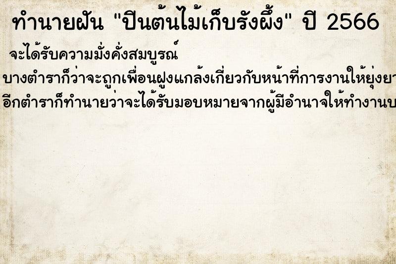 ทำนายฝันปีนต้นไม้เก็บรังผึ้ง ทำนายฝันทำนายฝันปีนต้นไม้เก็บรังผึ้ง