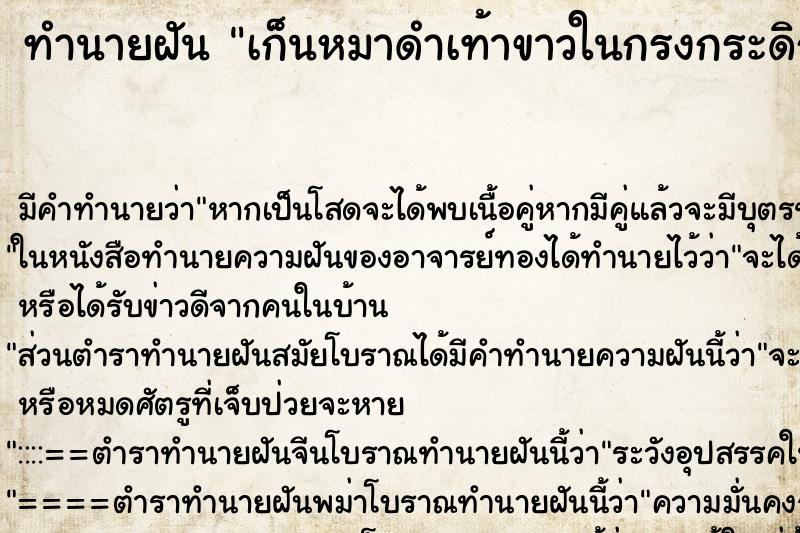 ทำนายฝันเก็นหมาดำเท้าขาวในกรงกระดิกหางให้ ทำนายฝันทำนายฝันเก็นหมาดำเท้าขาวในกรงกระดิกหางให้