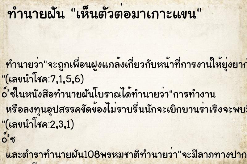 ทำนายฝัน เห็นตัวต่อมาเกาะแขน ทำนายฝัน เห็นตัวต่อมาเกาะแขน