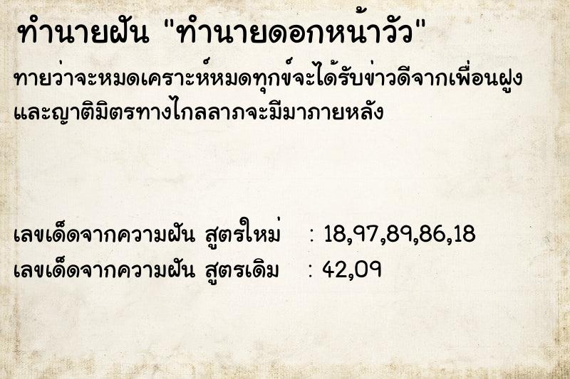 ทำนายฝันทำนายฝันทำนายดอกหน้าวัว