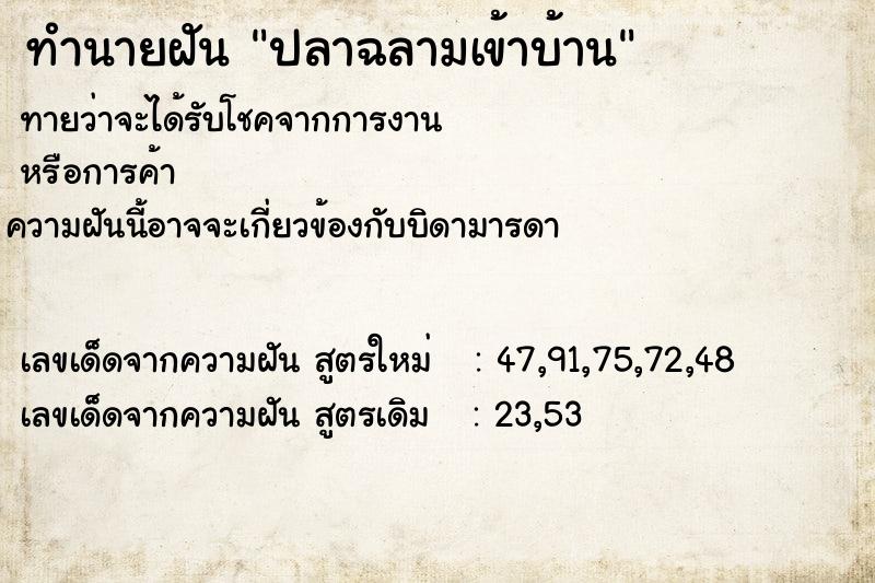 ทำนายฝันทำนายฝันปลาฉลามเข้าบ้าน