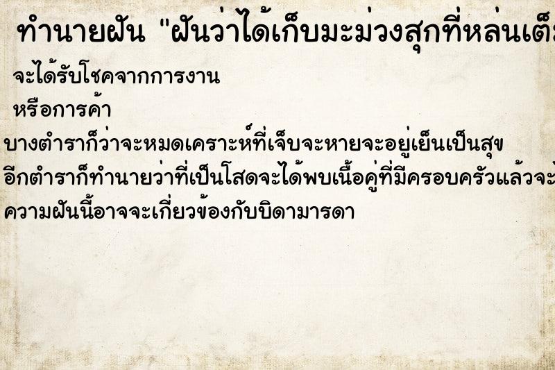 ทำนายฝันทำนายฝันฝันว่าได้เก็บมะม่วงสุกที่หล่นเต็มพื้น