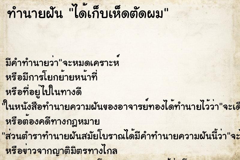 ทำนายฝัน ได้เก็บเห็ดตัดผม ทำนายฝัน ได้เก็บเห็ดตัดผม