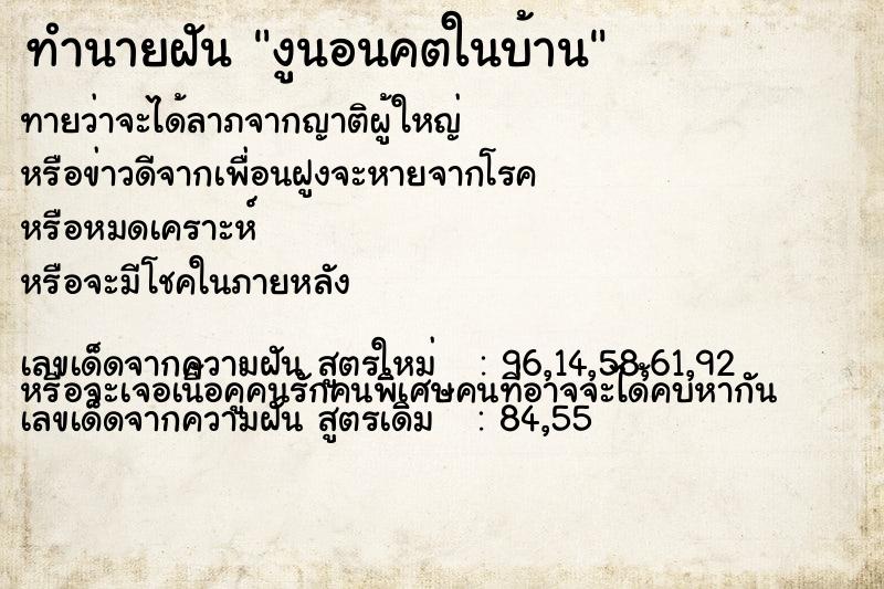 ทำนายฝันงูนอนคตในบ้าน ทำนายฝันทำนายฝันงูนอนคตในบ้าน