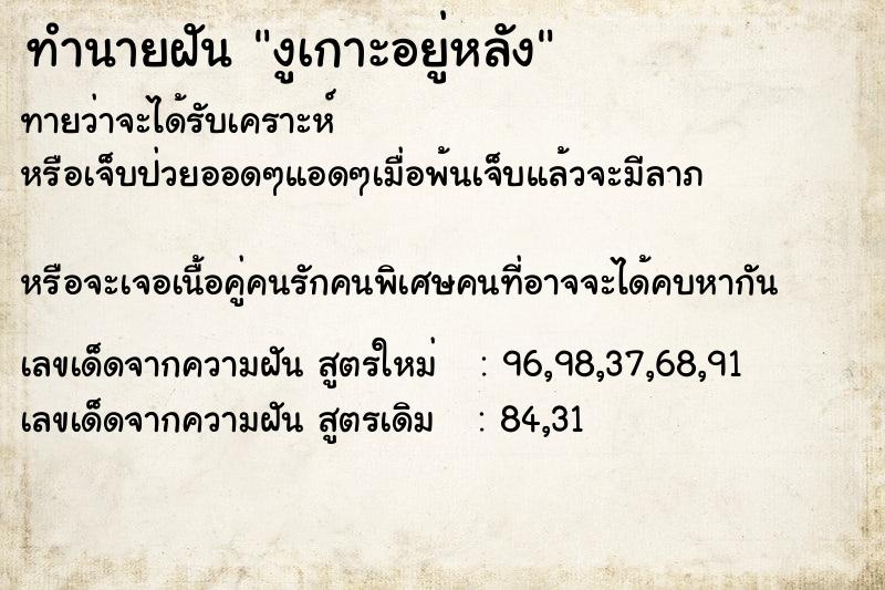 ทำนายฝันงูเกาะอยู่หลัง ทำนายฝันทำนายฝันงูเกาะอยู่หลัง