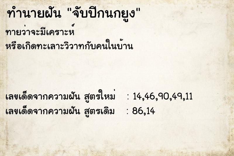ทำนายฝัน จับปีกนกยูง ทำนายฝัน จับปีกนกยูง