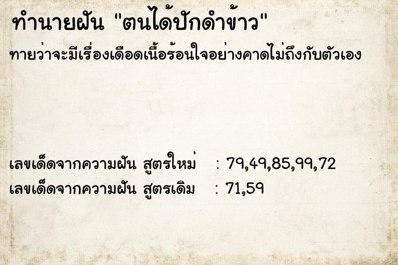 ทำนายฝันตนได้ปักดำข้าว ทำนายฝันทำนายฝันตนได้ปักดำข้าว