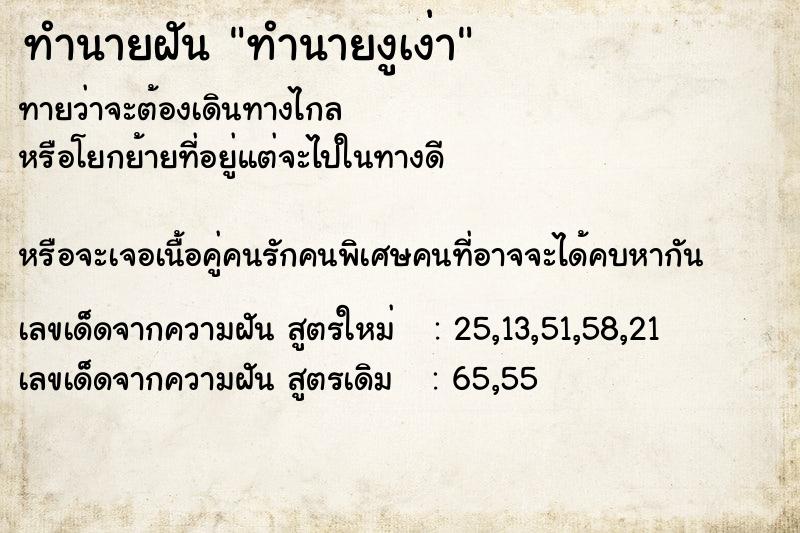 ทำนายฝันทำนายงูเง่า ทำนายฝันทำนายฝันทำนายงูเง่า