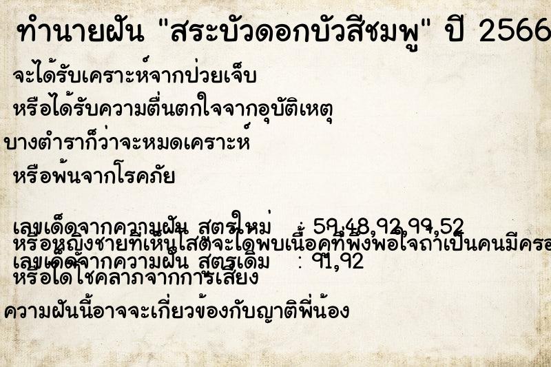 ทำนายฝัน สระบัวดอกบัวสีชมพู ทำนายฝัน สระบัวดอกบัวสีชมพู