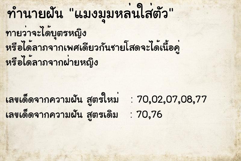 ทำนายฝันทำนายฝันแมงมุมหล่นใส่ตัว