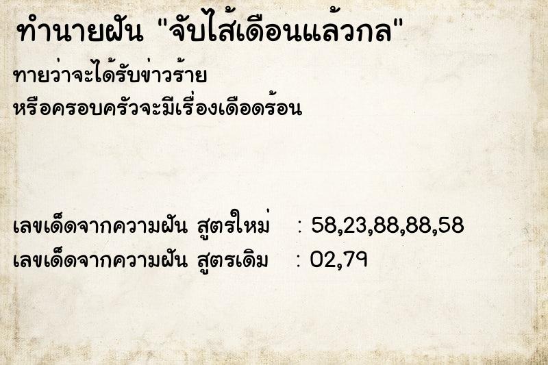 ทำนายฝันจับไส้เดือนแล้วกล ทำนายฝันทำนายฝันจับไส้เดือนแล้วกล