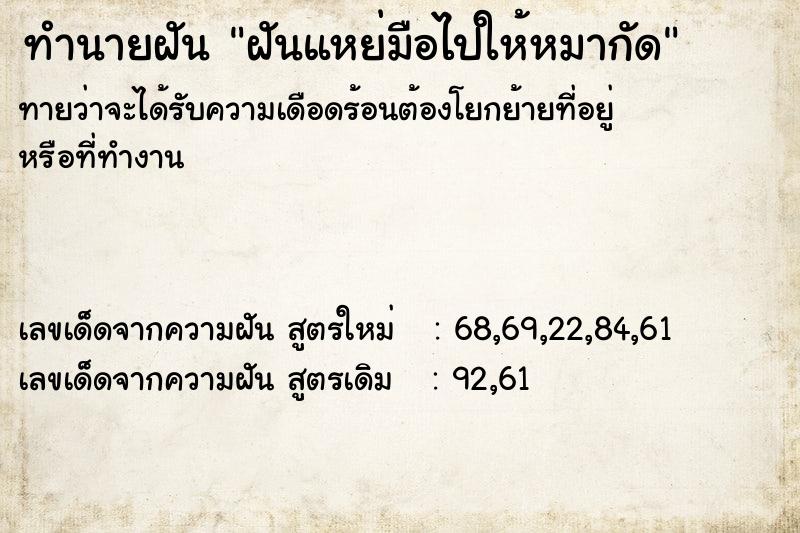 ทำนายฝันฝันแหย่มือไปให้หมากัด ทำนายฝันทำนายฝันฝันแหย่มือไปให้หมากัด