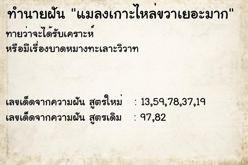 ทำนายฝัน แมลงเกาะไหล่ขวาเยอะมาก ทำนายฝัน แมลงเกาะไหล่ขวาเยอะมาก