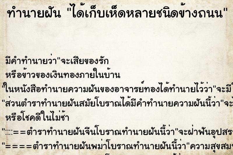 ทำนายฝันทำนายฝันได้เก็บเห็ดหลายชนิดข้างถนน