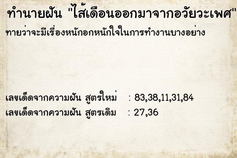 ทำนายฝันทำนายฝันไส้เดือนออกมาจากอวัยวะเพศ