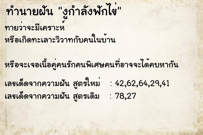 ทำนายฝันงูกำลังฟักไข่ ทำนายฝันทำนายฝันงูกำลังฟักไข่
