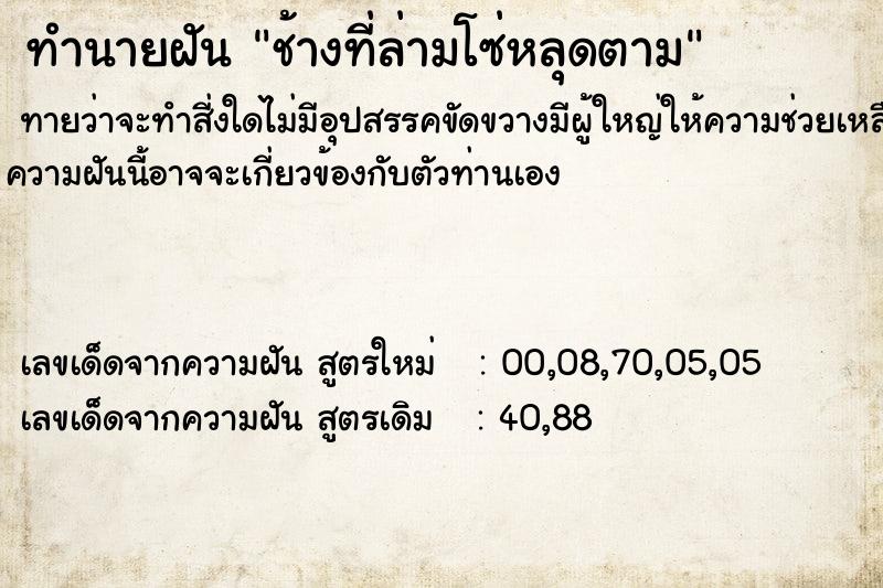 ทำนายฝันช้างที่ล่ามโซ่หลุดตาม ทำนายฝันทำนายฝันช้างที่ล่ามโซ่หลุดตาม