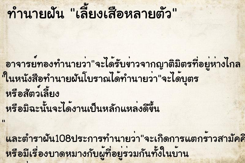 ทำนายฝันเลี้ยงเสือหลายตัว ทำนายฝันทำนายฝันเลี้ยงเสือหลายตัว