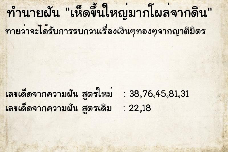 ทำนายฝันทำนายฝันเห็ดขึ้นใหญ่มากโผล่จากดิน