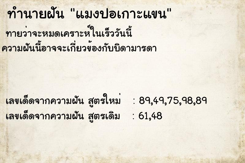 ทำนายฝันทำนายฝันแมงปอเกาะแขน
