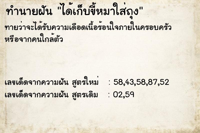 ทำนายฝัน ได้เก็บขี้หมาใส่ถุง ทำนายฝัน ได้เก็บขี้หมาใส่ถุง