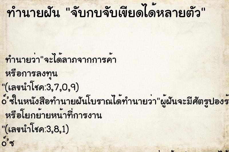 ทำนายฝันทำนายฝันจับกบจับเขียดได้หลายตัว
