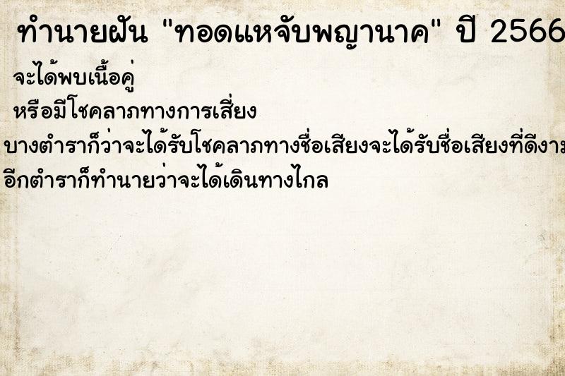 ทำนายฝัน ทอดแหจับพญานาค