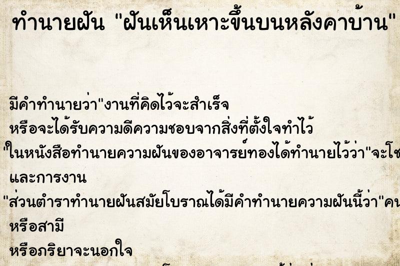 ทำนายฝัน ฝันเห็นเหาะขึ้นบนหลังคาบ้าน ทำนายฝัน ฝันเห็นเหาะขึ้นบนหลังคาบ้าน