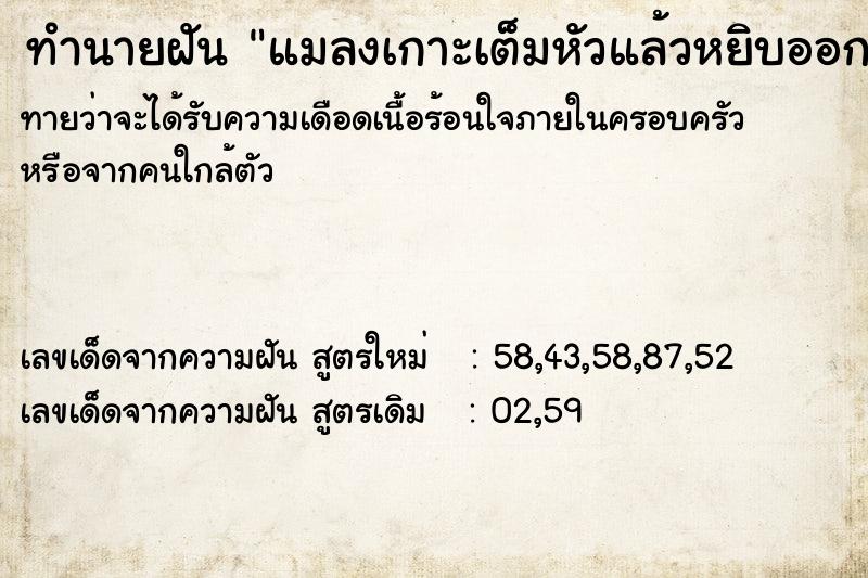 ทำนายฝันทำนายฝันแมลงเกาะเต็มหัวแล้วหยิบออก