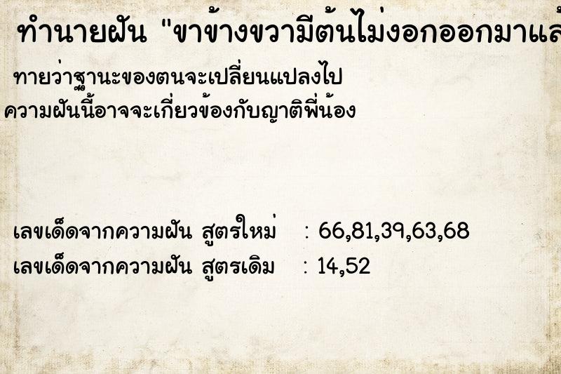 ทำนายฝันขาข้างขวามีต้นไม่งอกออกมาแล้วดืงออกหมด ทำนายฝันทำนายฝันขาข้างขวามีต้นไม่งอกออกมาแล้วดืงออกหมด