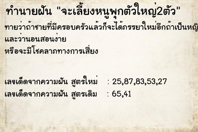ทำนายฝันจะเลี้ยงหนูพุกตัวใหญ่2ตัว ทำนายฝันทำนายฝันจะเลี้ยงหนูพุกตัวใหญ่2ตัว