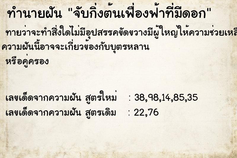 ทำนายฝันจับกิ่งต้นเฟื่องฟ้าที่มีดอก ทำนายฝันทำนายฝันจับกิ่งต้นเฟื่องฟ้าที่มีดอก