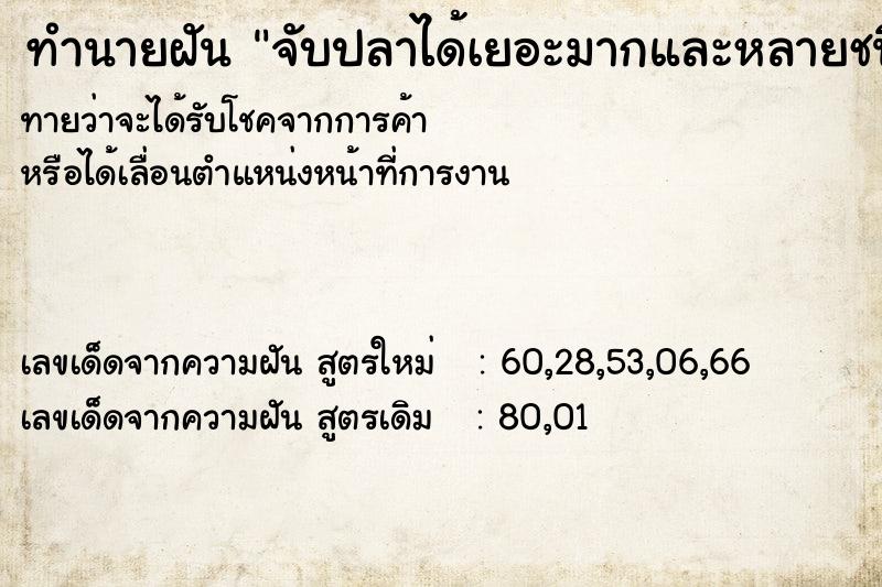 ทำนายฝันจับปลาได้เยอะมากและหลายชนิด ทำนายฝันทำนายฝันจับปลาได้เยอะมากและหลายชนิด