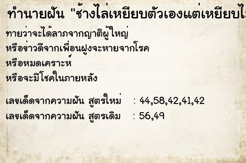 ทำนายฝันช้างไล่เหยียบตัวเองแต่เหยียบไม่ได้ ทำนายฝันทำนายฝันช้างไล่เหยียบตัวเองแต่เหยียบไม่ได้