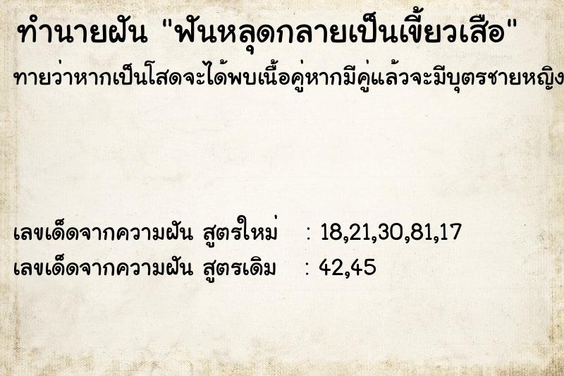 ทำนายฝัน ฟันหลุดกลายเป็นเขี้ยวเสือ