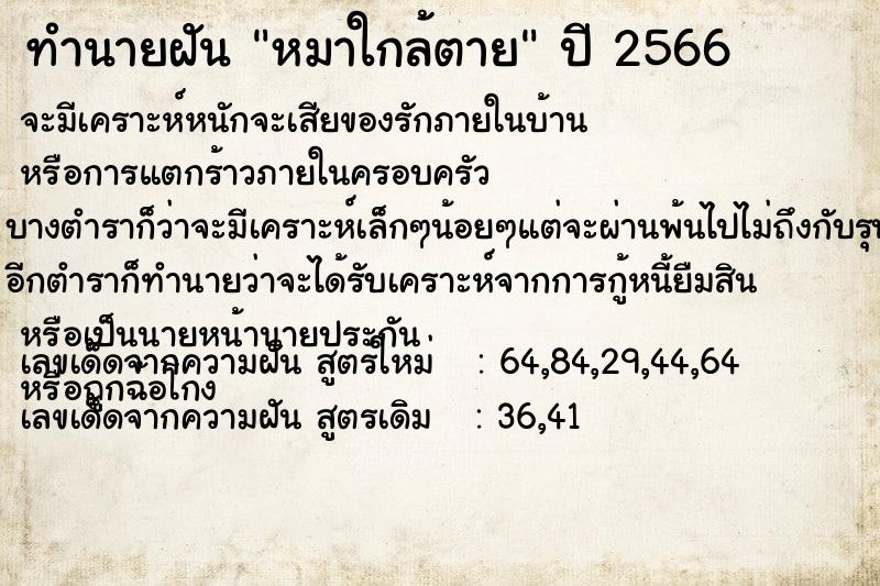 ทำนายฝัน หมาใกล้ตาย ทำนายฝัน หมาใกล้ตาย